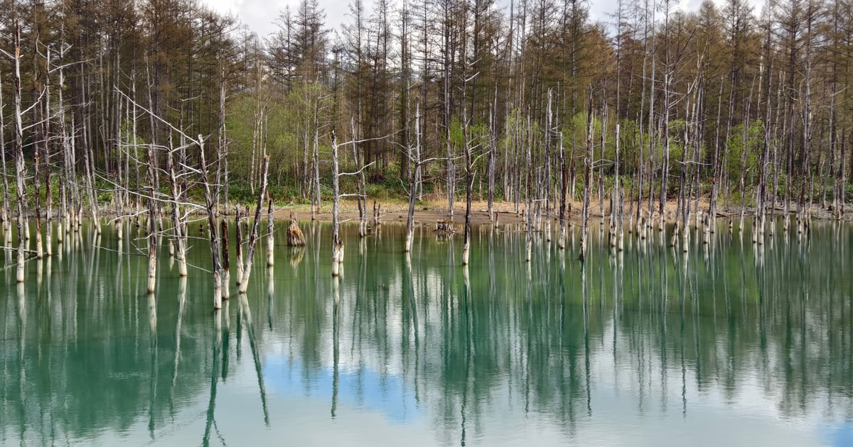 Shirogane Blue Pond