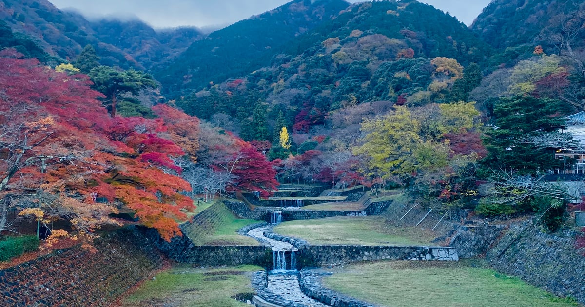 養老公園
