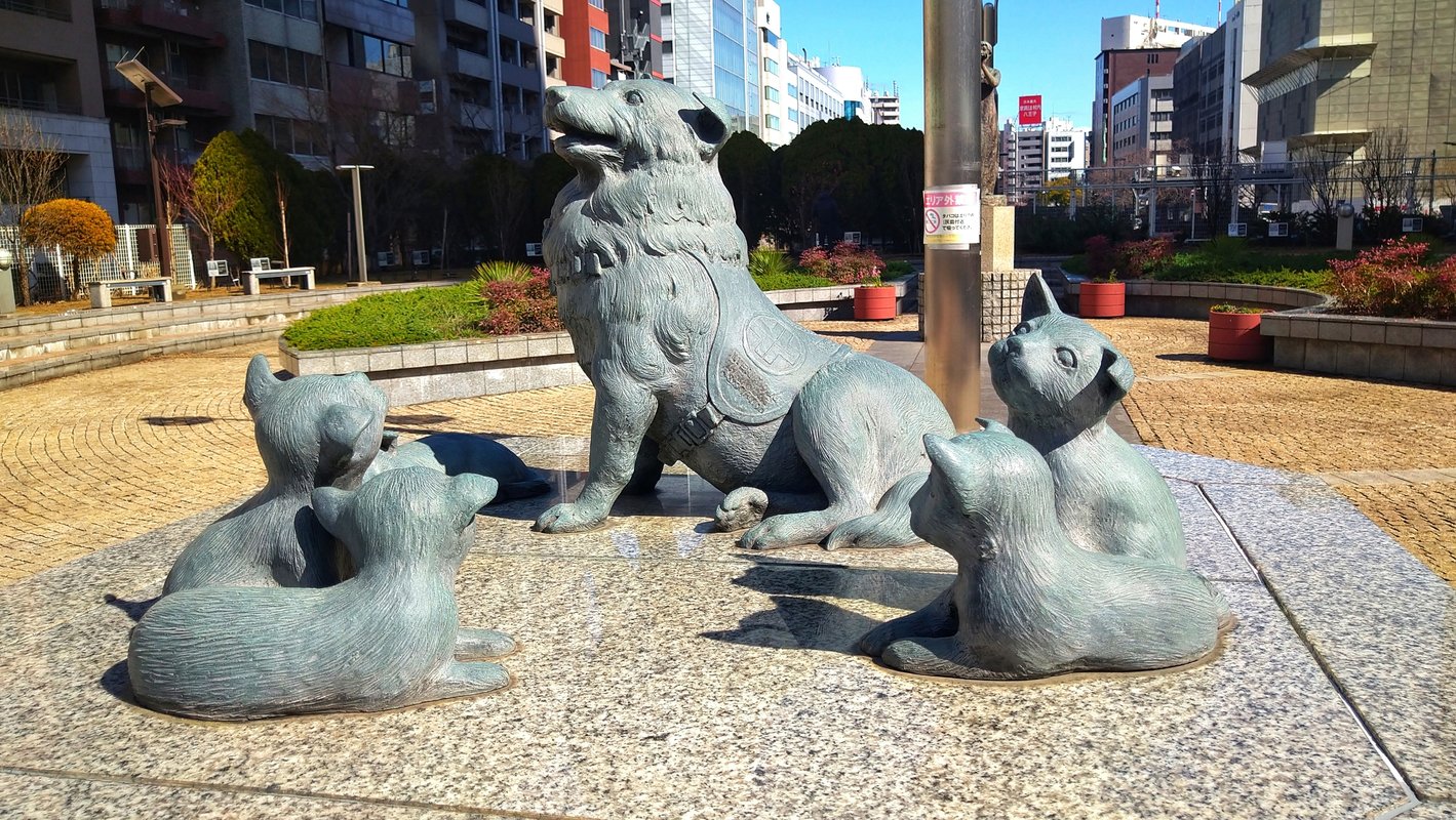 이것은 '명견 치로리' 기념비로, 2008년7월26일의 날짜가 쓰여 있습니다.