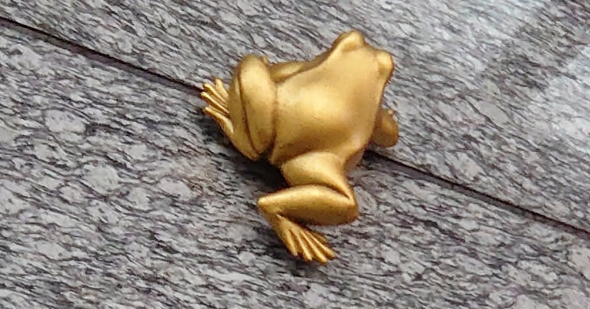 金色的青蛙