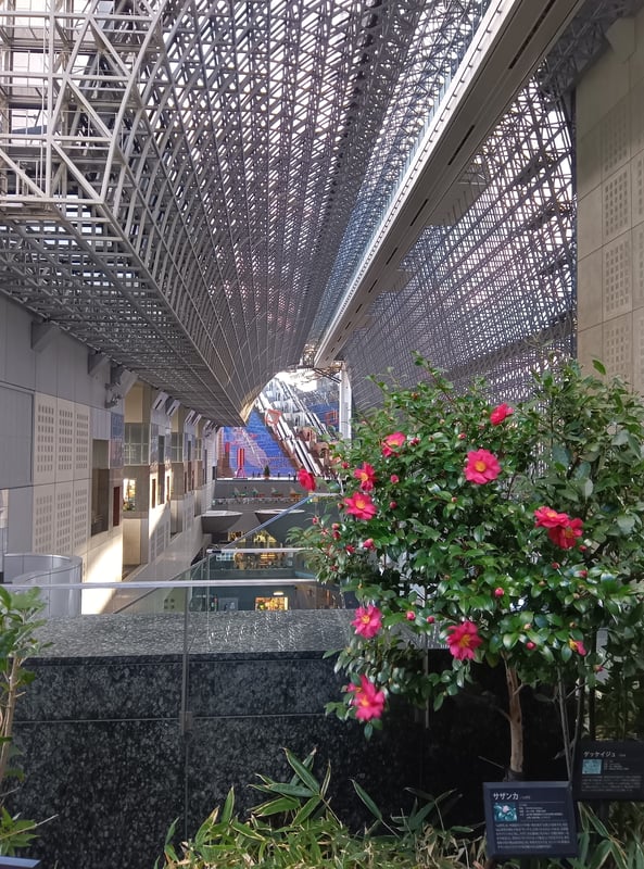 Flowers bloom at Kyoto Station even in winter.