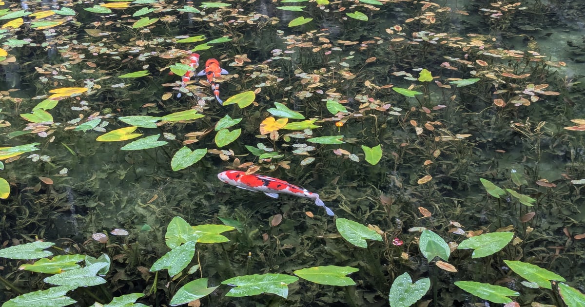 莫內之池與根道神社