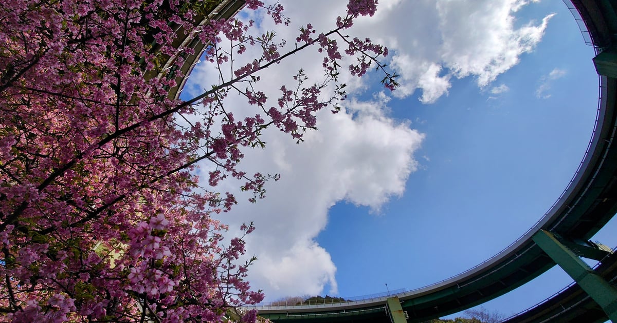 Kawazu Nanadaru Loop Bridge
