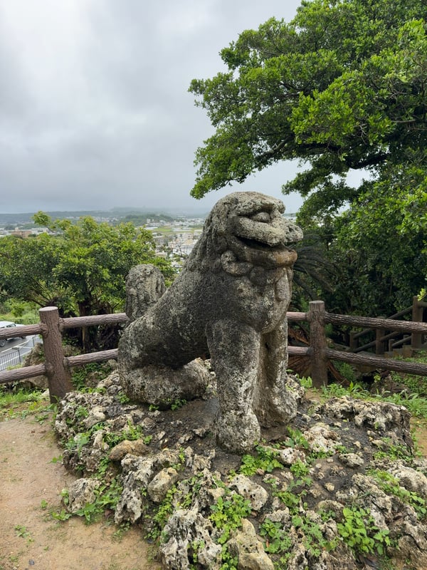 This is an image of a lion.