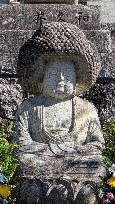 The image shows a Buddha with a large afro hairstyle, gently watching over with a serene expression.