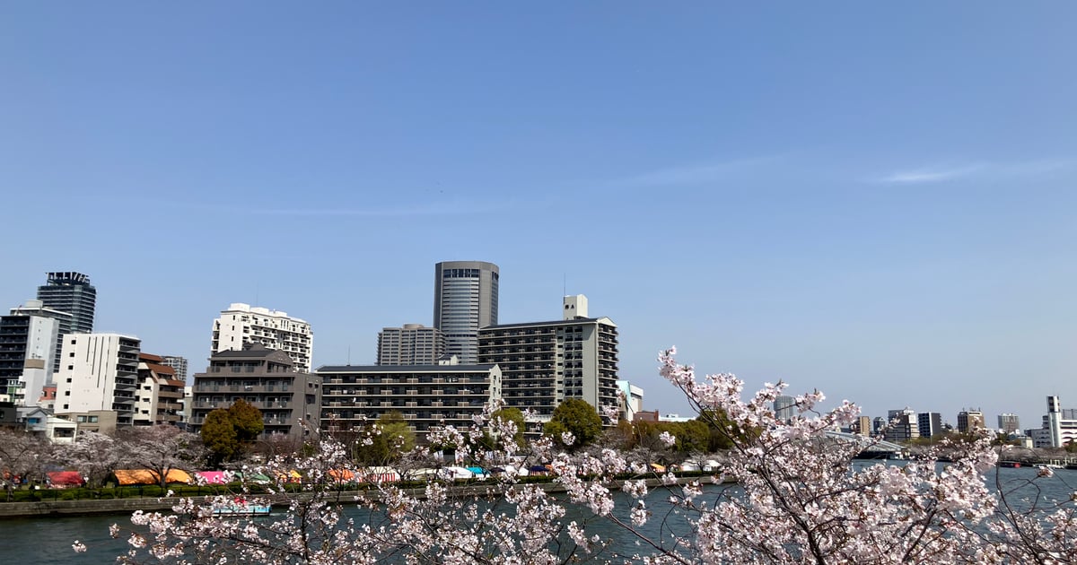 大阪造币局樱花通道