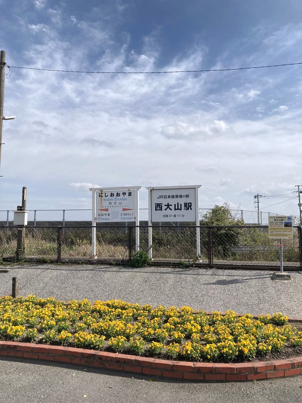 A sunny outdoor scene photo taken on 2024-06-18.