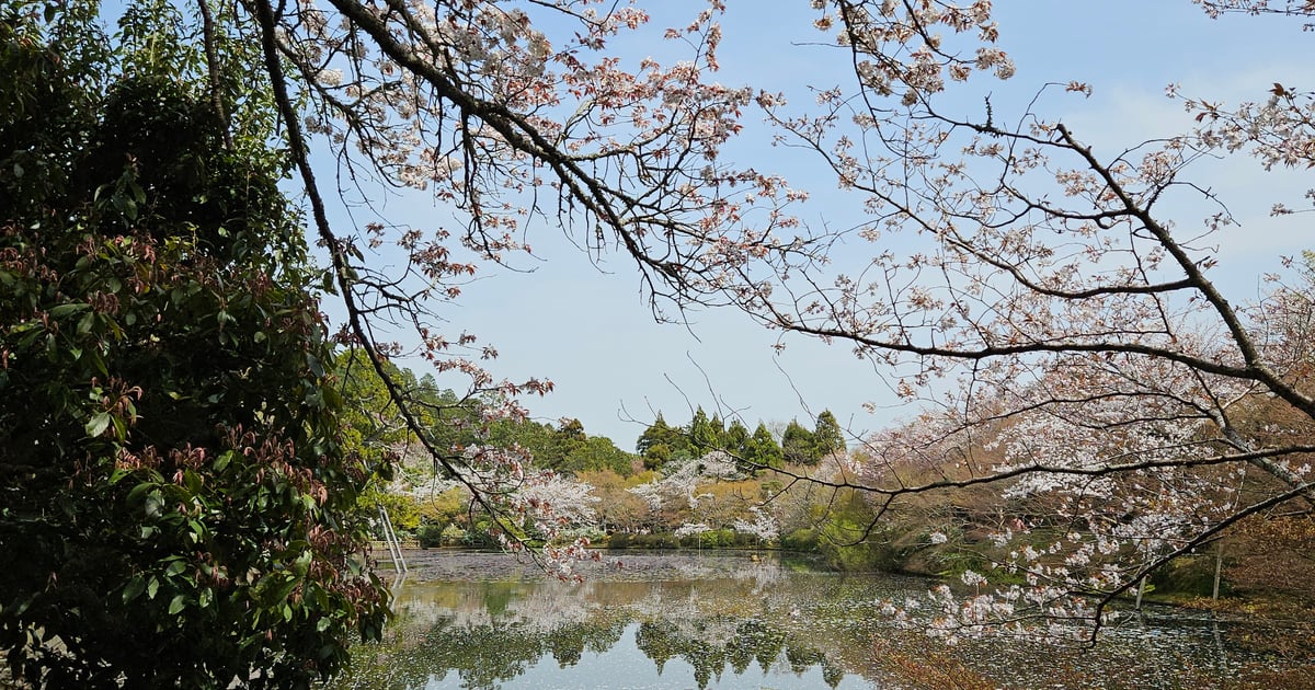 Ryoanji Temple