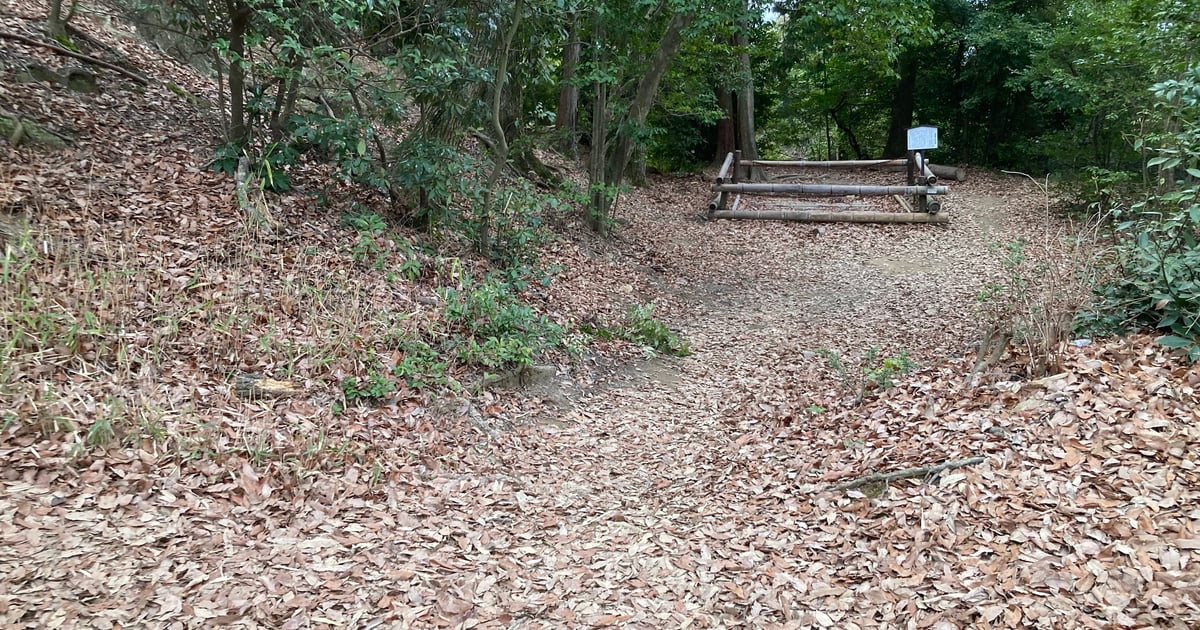 Tennozan Yamazaki Castle Ruins