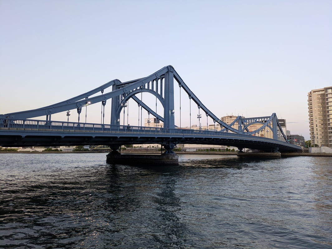 다음에는 밤에 와보자🐈️