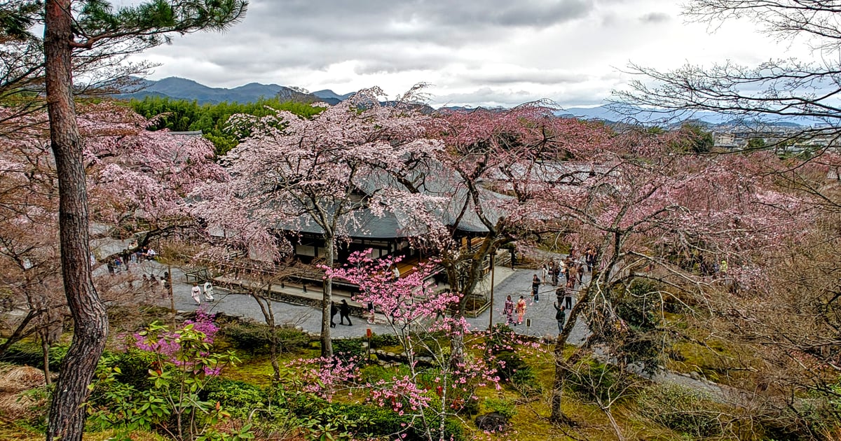 Tenryu-ji Temple