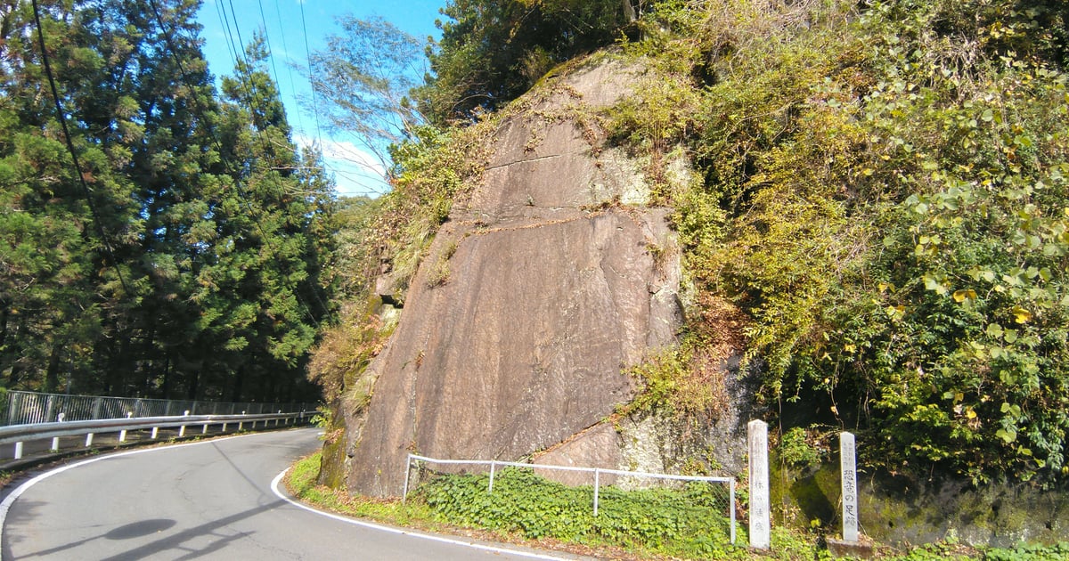 濑林漣痕（波纹岩）与恐龙足迹
