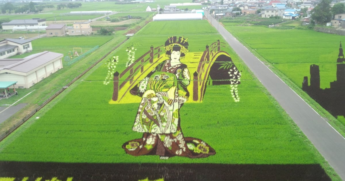 田舎館村政府