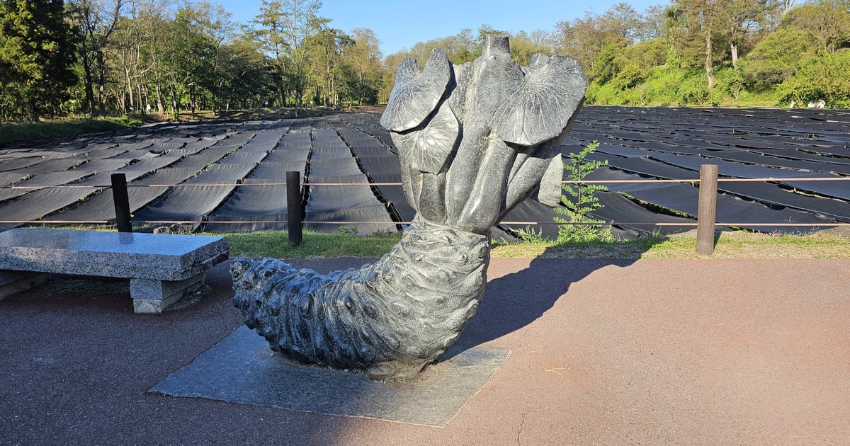 大王山葵農場