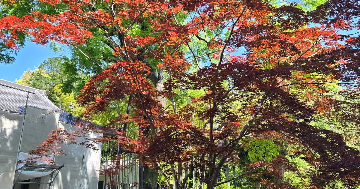 足利學校