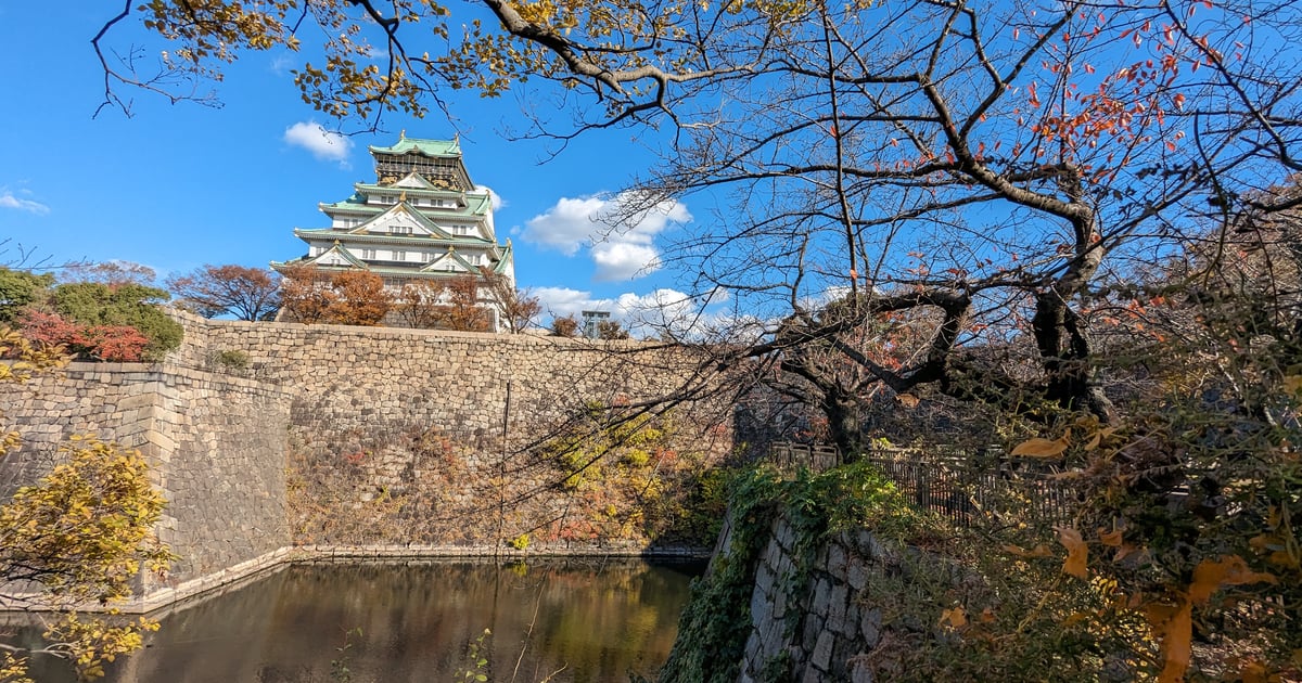 大阪城公园西之丸庭园 樱花标准木
