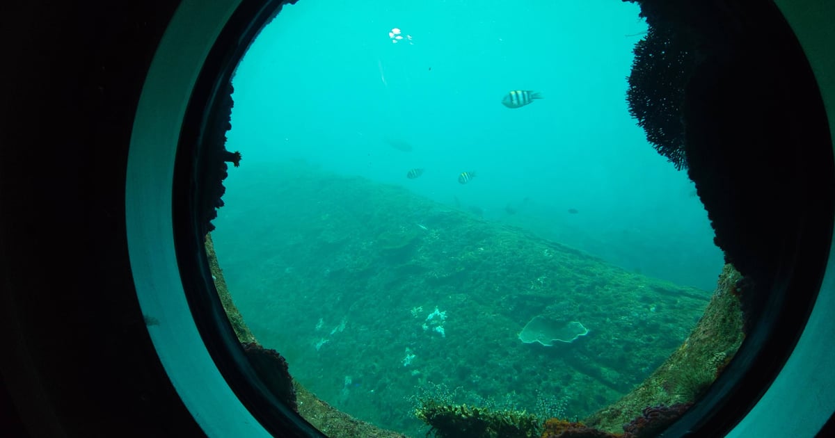 足摺海底館