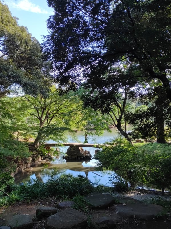渡月橋を渡り出汐湊の休憩所で宇治金時のかき氷をいただいた。