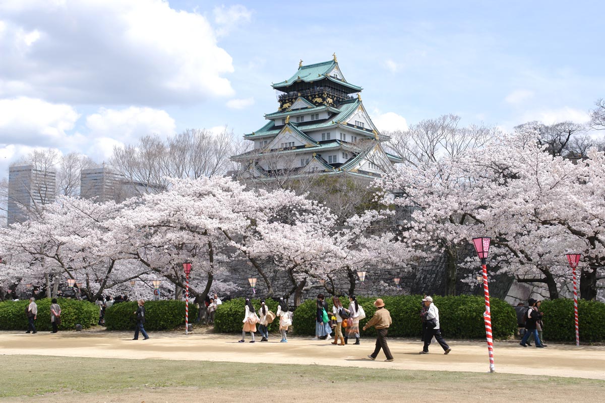 在2021年4月3日，一座古典的日式城堡坐落于盛开的樱花树下，阳光洒在其上，光影交错。