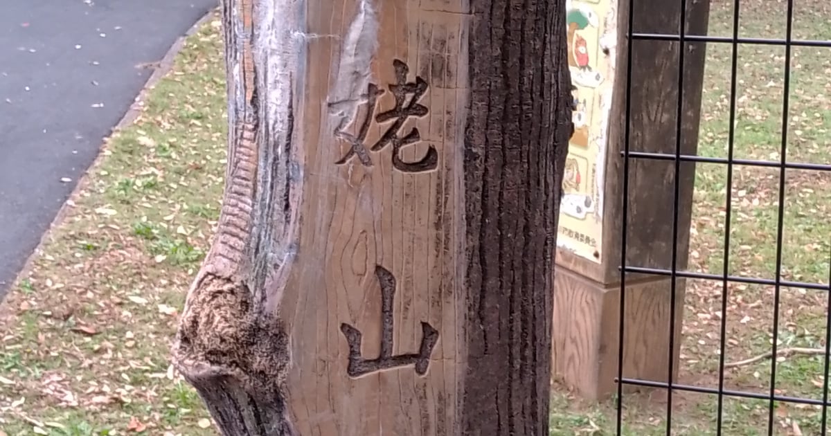 姥山贝冢：见证绳文文明的时光遗迹
