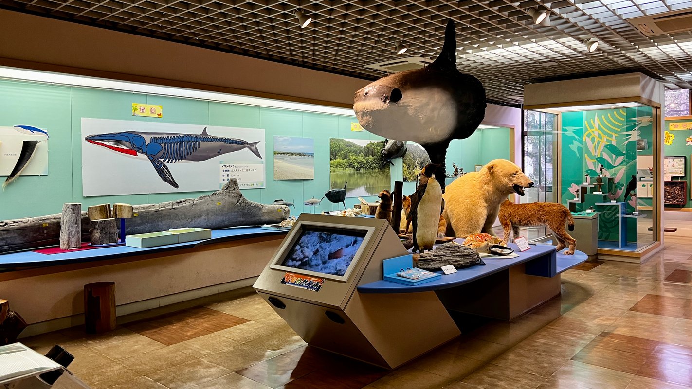 Flora and fauna found in Kagoshima are shown.