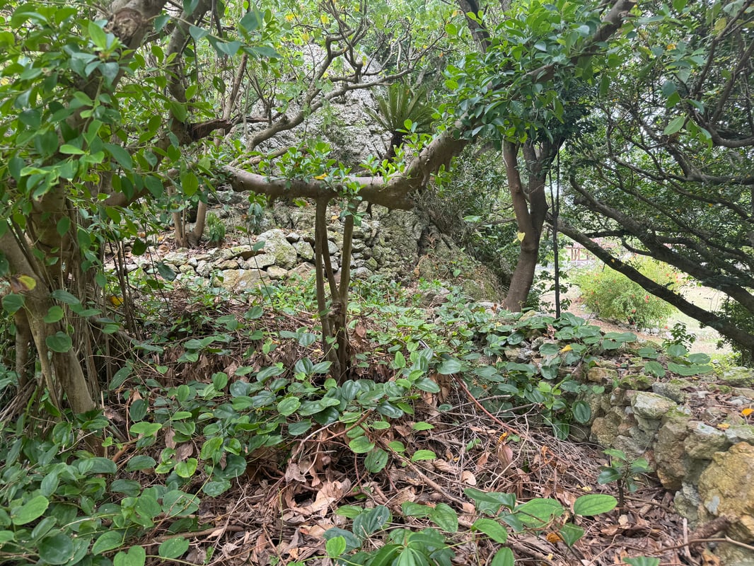 This is a stone wall seen during the climb.