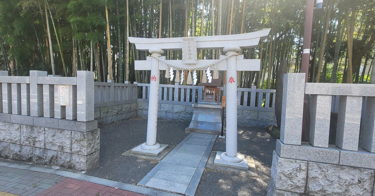 八幡之藪不知