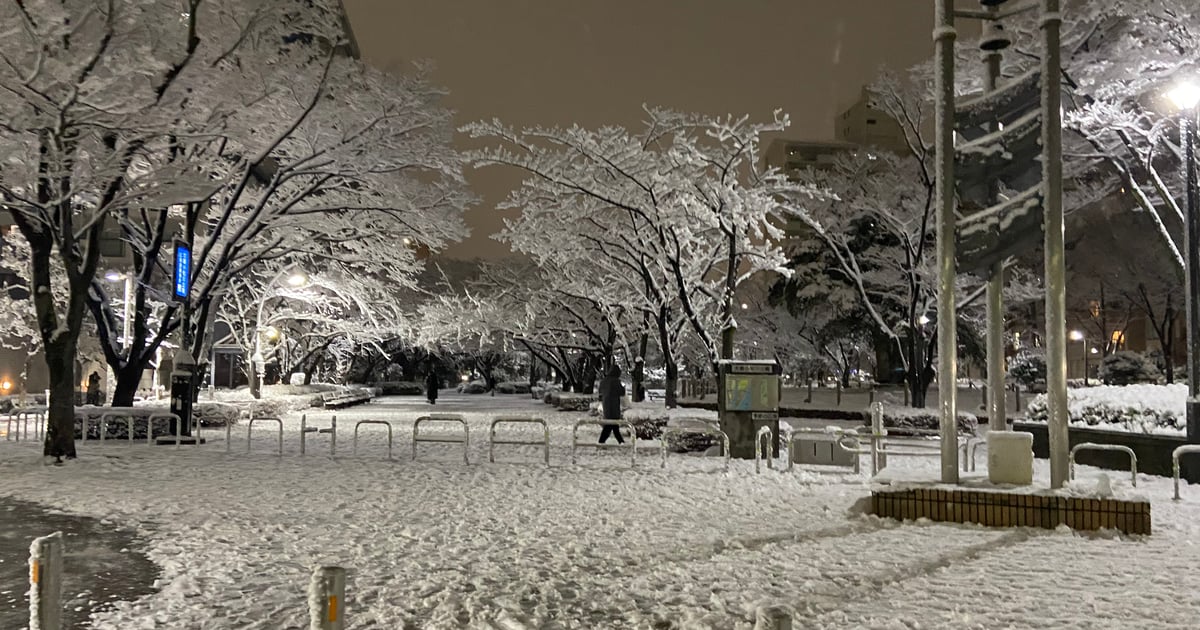 도쿄 오지마 코마츠가와 공원 계절의 광장 (북쪽)