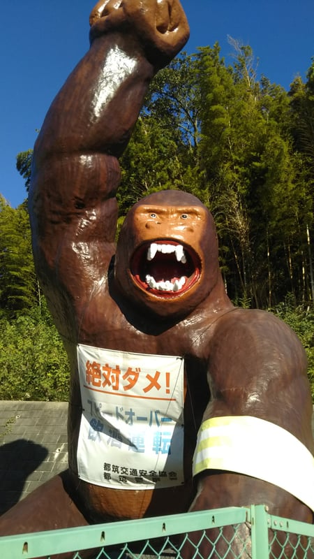 이것은 모두키 마모루 군의 정면 사진입니다.