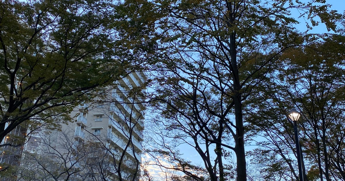 도쿄 오지마 코마츠가와 공원 계절의 광장(남)