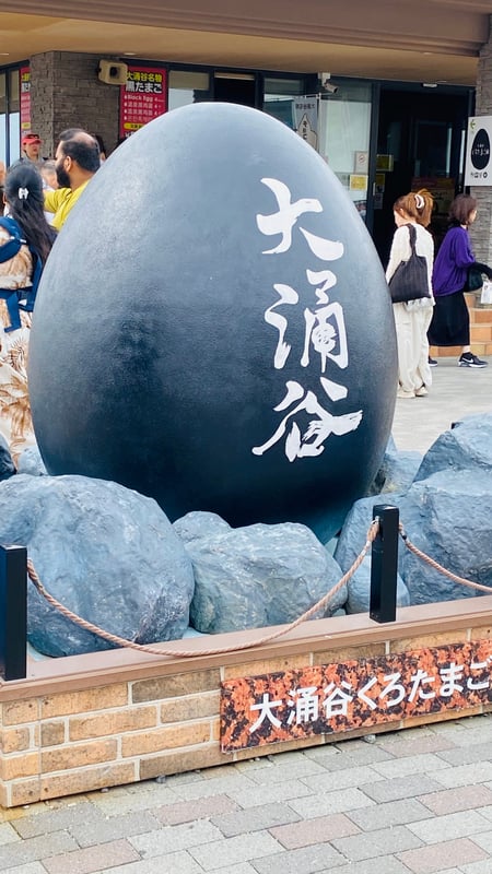 The image shows a black egg placed on a light background.
