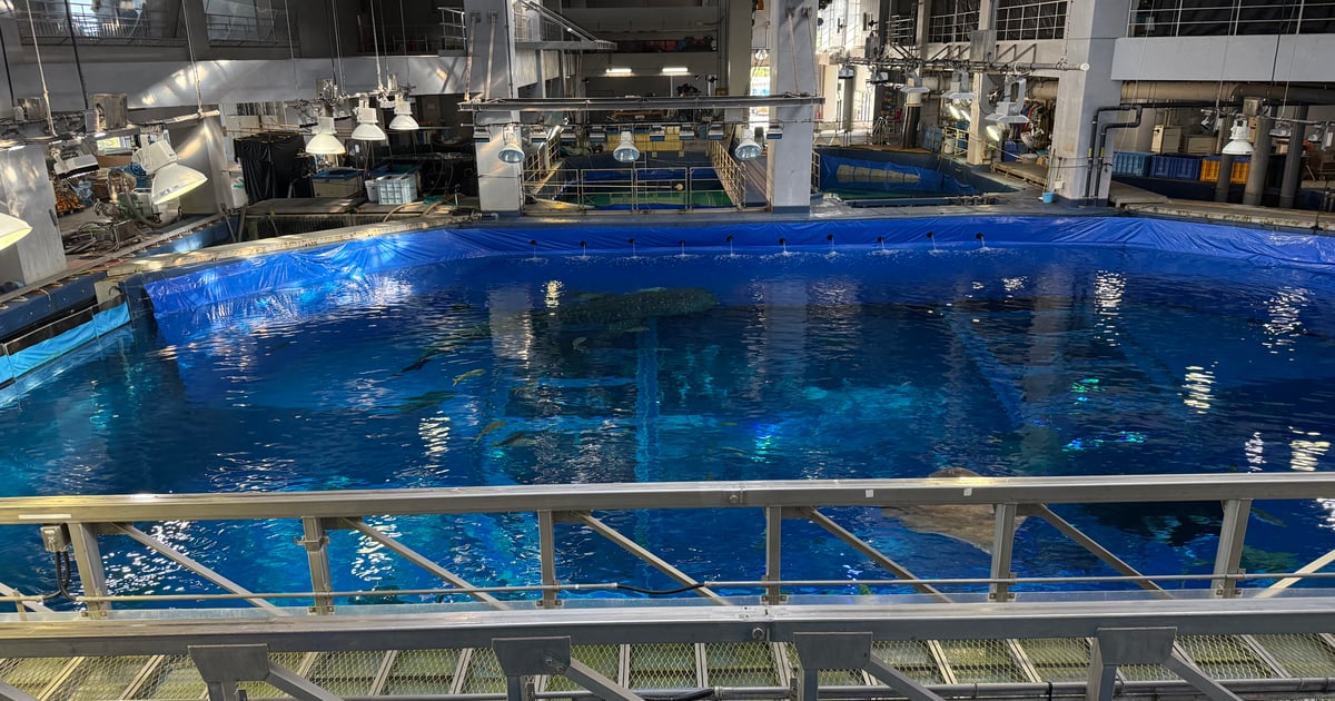 Okinawa Churaumi Aquarium
